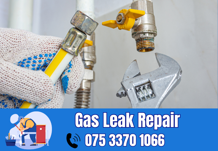 gas leak repair Crayford