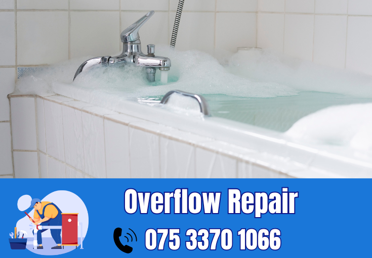 overflow repair Crayford