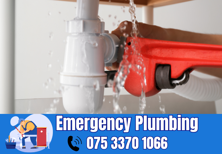  plumber Barnehurst