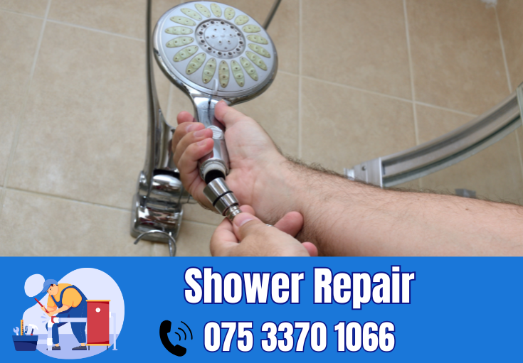 shower repair and installation Crayford