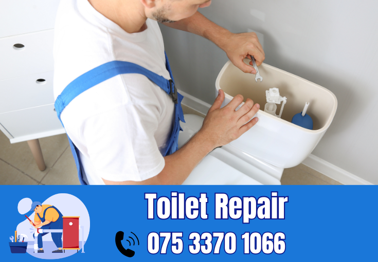 toilet repair Crayford